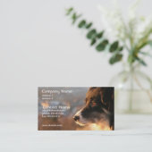 Carte de visite de photo de border collie (Debout devant)