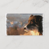 Carte de visite de photo de border collie (Dos)