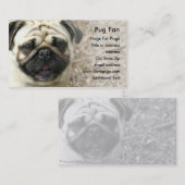 Carte de visite de photo de carlin (Devant / Derrière)