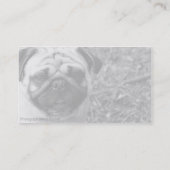 Carte de visite de photo de carlin (Dos)