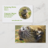 Carte de visite de photo de castor (Devant / Derrière)