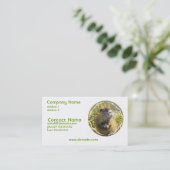 Carte de visite de photo de castor (Debout devant)