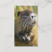 Carte de visite de photo de castor (Dos)