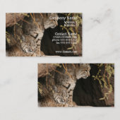 Carte de visite de photo de chat sauvage (Devant / Derrière)