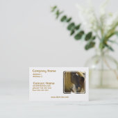 Carte de visite de photo de cheval de mustang (Debout devant)