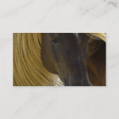 Carte de visite de photo de cheval de mustang (Dos)