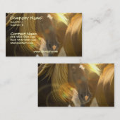 Carte de visite de photo de cheval sauvage (Devant / Derrière)