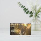 Carte de visite de photo de cheval sauvage (Debout devant)