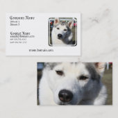 Carte de visite de photo de chien de chien de (Devant / Derrière)