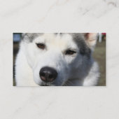 Carte de visite de photo de chien de chien de (Dos)