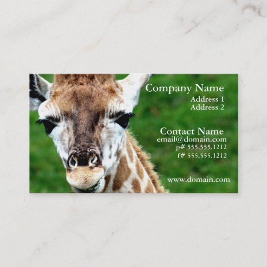 Carte de visite de photo de girafe (Devant)