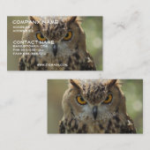 Carte de visite de photo de hibou (Devant / Derrière)