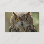 Carte de visite de photo de hibou (Dos)