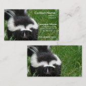 Carte de visite de photo de mouffette (Devant / Derrière)