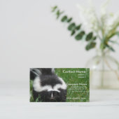 Carte de visite de photo de mouffette (Debout devant)