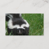 Carte de visite de photo de mouffette (Dos)