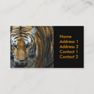 carte de visite de photographie