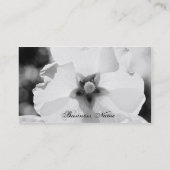 Carte de visite de photographie de fleur de B/W (Dos)