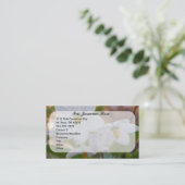 Carte de visite de photos de fleurs blanches (Debout devant)