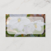 Carte de visite de photos de fleurs blanches (Dos)