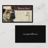 Carte de visite de Pitbull (Devant / Derrière)