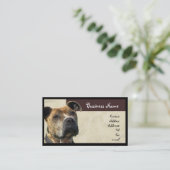 Carte de visite de Pitbull (Debout devant)