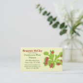 Carte de visite de plantes carnivores (Debout devant)