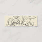 Carte de visite de plantes carnivores (Dos)