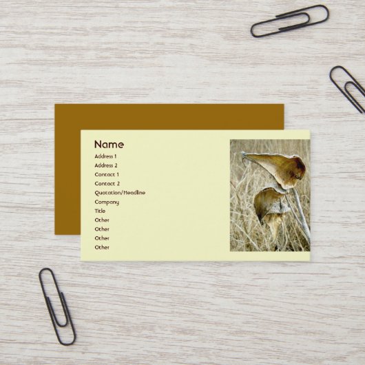 Carte de visite de pods d'algues sèches (Devant/Arrière en situation)