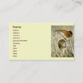 Carte de visite de pods d'algues sèches (Devant)