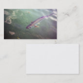 Carte de visite de poissons de tarpon (Devant / Derrière)
