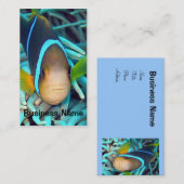 Carte de visite de poissons tropicaux (Devant / Derrière)