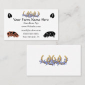 Carte de visite de porc KuneKune (Devant / Derrière)