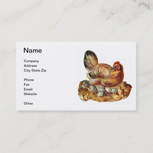 Carte de visite de poussins et d'oeufs de poule de (Devant)