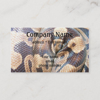 Carte de visite de python de boule