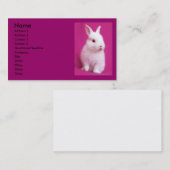 Carte de visite de Rabbitt (Devant / Derrière)