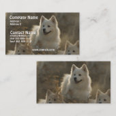 Carte de visite de race de chien de Samoyed (Devant / Derrière)