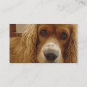 Carte de visite de race d'épagneul (Dos)