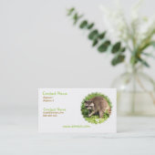 Carte de visite de raton laveur (Debout devant)