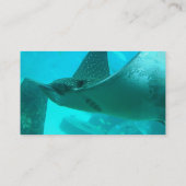 Carte de visite de rayon de Manta (Dos)