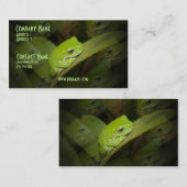 Carte de visite de réflexions de grenouille (Devant / Derrière)