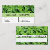 Carte de visite de rendez-vous de naturopathe vert (Devant / Derrière)