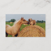 Carte de visite de réunion de cheval et de chien (Dos)