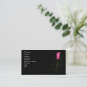 Carte de visite de rose de rose (Debout devant)