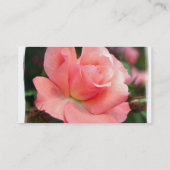 Carte de visite de rose de rose (Dos)