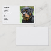Carte de visite de rottweiler (Devant / Derrière)