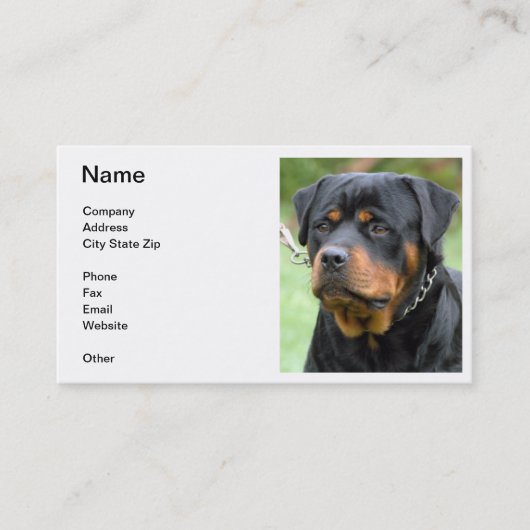 Carte de visite de rottweiler (Devant)