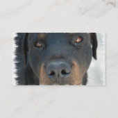 Carte de visite de rottweiler (Dos)