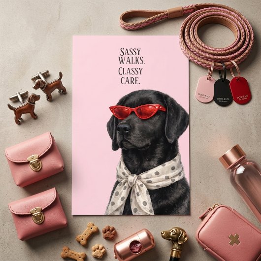 Carte de visite de Sassy Walks Classy Care Service