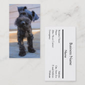 Carte de visite de Schnauzer miniature - #3 (Devant / Derrière)